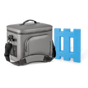 Kühltasche mit Kühlakku Grau - 22 Liter